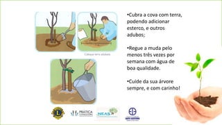 •Cubra a cova com terra,
podendo adicionar
esterco, e outros
adubos;
•Regue a muda pelo
menos três vezes por
semana com água de
boa qualidade.
•Cuide da sua árvore
sempre, e com carinho!
 