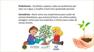 Preferências – Escolhida a espécie, saiba sua preferência por
solo, luz e água, e escolha o local mais apropriado possível;
Consciência - Assim como nos empenhamos para cuidar de
animais domésticos, que outrora já foram, em ultima análise,
selvagens, temos que nos empenhar o mínimo para cuidar de
nossas árvores.
 