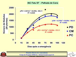 IAC-Tatu ST - Palhada de Cana

                    2500
                               yPD = -0,3613x2 + 64,099x - 804,11
                                          R2 = 0,9329
                    2000
Número de Nódulos
   (20 plantas)




                    1500                                                          yCM = -0,3168x2 + 56,606x - 682,43
                                                                                             R2 = 0,9583


                    1000                                                                                   PD
                                                            yPC = -0,2119x2 + 36,658x - 373,11
                                                                       R2 = 0,9926                         CM
                     500
                                                                                                           PC
                       0
                           0   15        30        45        60         75     90      105       120
                                           Dias após a emergência

                                        Plantio Direto de Amendoim
                               Grupo de Pesquisa SPDireto - denizart@apta.sp.gov.br
                                              29/04/2010 – Ribeirão Preto
 