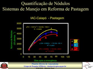 Quantificação de Nódulos
Sistemas de Manejo em Reforma de Pastagem
                                         IAC-Caiapó - Pastagem
                       6000
                                                  2
                                  yPD = -1,0014x + 152,99x - 1063,1
                       5000                   2
                                             R = 0,9908
   Número de Nódulos
      (20 plantas )
                 -1




                       4000

                       3000
                                                                                2
                                                                                                      PD
                                                       y CM= -0,8883x + 135,38x - 881,4
                       2000                                             2
                                                                    R = 0,9961                        CM
                       1000                                                 2
                                                      yPC = -0,6288x + 104,46x - 486,6
                                                                    2
                                                                                                      PC
                                                                R       = 0,9376

                          0
                              0     15      30        45      60                75   90   105   120
                                             Dias após a emergência
                                         Plantio Direto de Amendoim
                              Grupo de Pesquisa SPDireto - denizart@apta.sp.gov.br
                                                  29/04/2010 – Ribeirão Preto
 