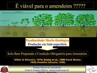 É viável para o amendoim ?????




             Peculiaridade Morfo-fisiológica
              Produção em Sub-superfície

Solo Bem Preparado é Condição Obrigatória para Amendoim
    Gillier & Silvestre, 1970; Godoy et al., 1980 Cox& Sholar,
                   1995; Pedellini &Casini, 1998;

                      Plantio Direto de Amendoim
             Grupo de Pesquisa SPDireto - denizart@apta.sp.gov.br
                           29/04/2010 – Ribeirão Preto
 
