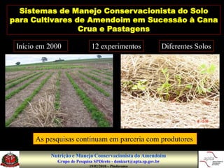 Sistemas de Manejo Conservacionista do Solo
para Cultivares de Amendoim em Sucessão à Cana
                 Crua e Pastagens

 Início em 2000               12 experimentos                       Diferentes Solos




      As pesquisas continuam em parceria com produtores

           Nutrição e Manejo Conservacionista do Amendoim
             Grupo de Pesquisa SPDireto - denizart@apta.sp.gov.br
                             19/02/2010 – Pindorama
 