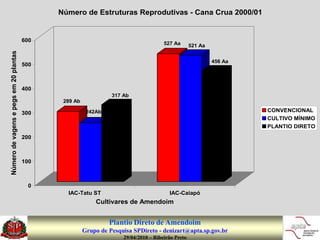 Número de Estruturas Reprodutivas - Cana Crua 2000/01


                                        600
                                                                                       527 Aa       521 Aa
Número de vagens e pegs em 20 plantas




                                                                                                             456 Aa
                                        500



                                        400
                                                                  317 Ab
                                               289 Ab

                                        300              242Ab                                                        CONVENCIONAL
                                                                                                                      CULTIVO MÍNIMO
                                                                                                                      PLANTIO DIRETO
                                        200



                                        100



                                          0
                                                IAC-Tatu ST                              IAC-Caiapó
                                                            Cultivares de Amendoim


                                                                 Plantio Direto de Amendoim
                                                        Grupo de Pesquisa SPDireto - denizart@apta.sp.gov.br
                                                                      29/04/2010 – Ribeirão Preto
 