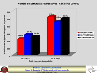 Número de Estruturas Reprodutivas - Cana crua 2001/02


                                         600
                                                                                       519 Aa
Números de Vagens e Pegs em 20 plantas




                                                                                                          494 Aa
                                                                                                 449 Aa
                                         500



                                         400

                                                          276 Ab
                                                                   250 Ab                                          CONVENCIONAL
                                         300                                                                       CULTIVO MÍNIMO
                                               218 Ab
                                                                                                                   PLANTIO DIRETO

                                         200



                                         100



                                           0
                                                  IAC-Tatu ST                             IAC-Caiapó
                                                            Cultivares de Amendoim


                                                                   Plantio Direto de Amendoim
                                                        Grupo de Pesquisa SPDireto - denizart@apta.sp.gov.br
                                                                       29/04/2010 – Ribeirão Preto
 