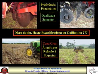 Preferência
                         Pneumática

                          Qualidade
                          Semente


Disco duplo, Haste Escarificadora ou Guilhotina ???


                           Cana Crua
                           Ângulo em
                           Relação à
                            Soqueira


                Plantio Direto de Amendoim
       Grupo de Pesquisa SPDireto - denizart@apta.sp.gov.br
                     29/04/2010 – Ribeirão Preto
 