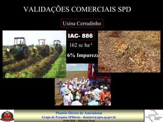 VALIDAÇÕES COMERCIAIS SPD
                  Usina Cerradinho

                      IAC- 886
                       162 sc ha-1
                  < 6% Impurezas




             Plantio Direto de Amendoim
    Grupo de Pesquisa SPDireto - denizart@apta.sp.gov.br
                  29/04/2010 – Ribeirão Preto
 