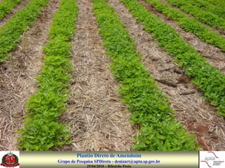 Plantio Direto de Amendoim
Grupo de Pesquisa SPDireto - denizart@apta.sp.gov.br
              29/04/2010 – Ribeirão Preto
 