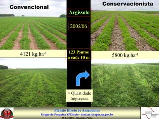 Conservacionista
Convencional
                                Argissolo

                                 2005/06




   4121 kg.ha-1                123 Pontos
                               a cada 10 m                     5800 kg.ha-1




                               > Quantidade
                                Impurezas

                     Plantio Direto de Amendoim
            Grupo de Pesquisa SPDireto - denizart@apta.sp.gov.br
                          29/04/2010 – Ribeirão Preto
 