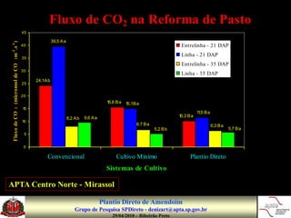 Fluxo de CO2 na Reforma de Pasto
                   45

                                  39,5 A a
.s -1 )




                   40                                                                               Entrelinha - 21 DAP
-2




                                                                                                    Linha - 21 DAP
 2m




                   35
                                                                                                    Entrelinha - 35 DAP
 (micromol de CO




                   30
                                                                                                    Linha - 35 DAP
                        24,1A b
                   25


                   20
                                                                   1 Ba
                                                                    5,6    1 Ba
                                                                            5,1
                   15
     2




                                                                                                           1 ,5 B a
                                                                                                            1
 Fluxo de CO




                                                       9,6 A a                                      1 Ba
                                                                                                     0,3
                                             8,2 A b
                   10
                                                                                6,7 B a                               6,3 B a
                                                                                          5,2 B b                               5,7 B a
                    5


                    0

                             Convencional                             Cultivo Mínimo                   Plantio Direto
                                                                   Sistemas de Cultivo

APTA Centro Norte - Mirassol                                                       Bolonhezi et al. (2005) – Simpósio Plantio Direto

                                                                 Plantio Direto de Amendoim
                                                 Grupo de Pesquisa SPDireto - denizart@apta.sp.gov.br
                                                                     29/04/2010 – Ribeirão Preto
 