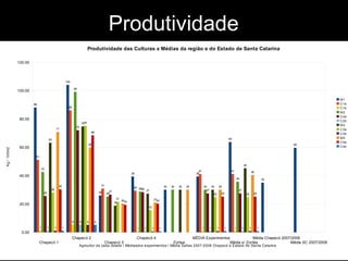 Produtividade 