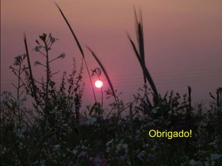 Obrigado! 