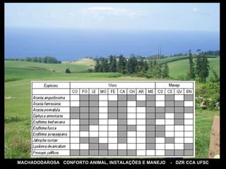 MACHADODAROSA  CONFORTO ANIMAL, INSTALAÇÕES E MANEJO  -  DZR CCA UFSC 