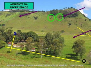 S O AMBIENTE DA PROPRIEDADE MACHADODAROSA  CONFORTO ANIMAL, INSTALAÇÕES E MANEJO  -  DZR CCA UFSC 