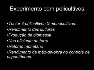 Experimento com policultivos Testar 4 policultivos X monocultivos: Rendimento das culturas Produção de biomassa Uso eficiente da terra Retorno monetário Rendimento da mão-de-obra no controle de espontâneas 