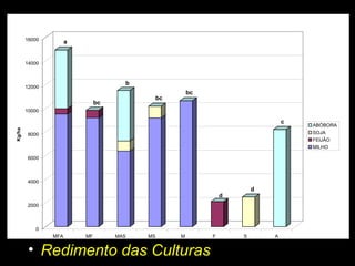 Redimento das Culturas 