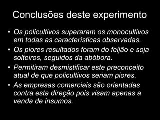 Conclusões deste experimento Os policultivos superaram os monocultivos em todas as características observadas. Os piores resultados foram do feijão e soja solteiros, seguidos da abóbora. Permitiram desmistificar este preconceito atual de que policultivos seriam piores. As empresas comerciais são orientadas contra esta direção pois visam apenas a venda de insumos. 