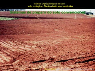 Marcelo Venturi -  [email_address]  -  http://agroecologia.ufsc.br Manejo (Agro)Ecológico do Solo solo protegido: Plantio direto sem herbicidas Sistemas de preparo do solo convencional 