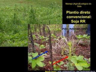 Marcelo Venturi -  [email_address]  -  http://agroecologia.ufsc.br Manejo (Agro)Ecológico do Solo Plantio direto convencional: Soja RR Foto: Robinson Osipe 