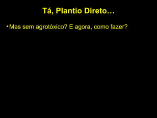 Tá, Plantio Direto… Mas sem agrotóxico? E agora, como fazer? 