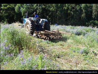Marcelo Venturi -  [email_address]  -  http://agroecologia.ufsc.br 
