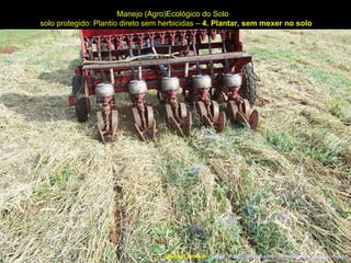 Manejo (Agro)Ecológico do Solo solo protegido: Plantio direto sem herbicidas –  4. Plantar, sem mexer no solo Marcelo Venturi -  [email_address]  -  http://agroecologia.ufsc.br 
