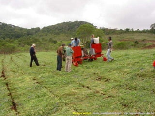 Marcelo Venturi -  [email_address]  -  http://agroecologia.ufsc.br 