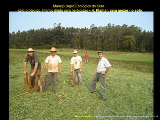 Manejo (Agro)Ecológico do Solo solo protegido: Plantio direto sem herbicidas –  4. Plantar, sem mexer no solo Marcelo Venturi -  [email_address]  -  http://agroecologia.ufsc.br 