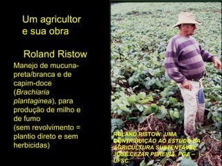 Um agricultor e sua obra Roland Ristow Manejo de mucuna-preta/branca e de capim-doce ( Brachiaria plantaginea ), para produção de milho e de fumo (sem revolvimento = plantio direto e sem herbicidas)‏ ROLAND RISTOW:  UMA CONTRIBUIÇÃO AO ESTUDO DA AGRICULTURA SUSTENTÁVEL. JOSÉ CEZAR PEREIRA. PGA – UFSC. 