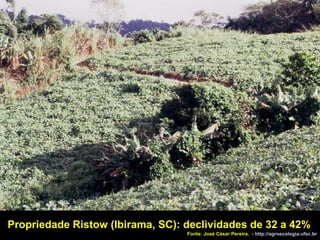 Propriedade Ristow (Ibirama, SC): declividades de 32 a 42% Fonte: José César Pereira.  -  http://agroecologia.ufsc.br 