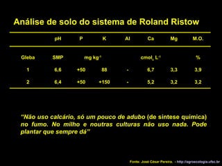 Análise de solo do sistema de Roland Ristow “ Não uso calcário, só um pouco de adubo  (de síntese química)  no fumo. No milho e noutras culturas não uso nada. Pode plantar que sempre dá” Fonte: José César Pereira.  -  http://agroecologia.ufsc.br 3,2 3,2 5,2 - +150 +50 6,4 2 3,9 3,3 6,7 - 88 +50 6,6 1 % cmol c  L -1 mg kg -1 SMP Gleba M.O. Mg Ca Al K P pH 