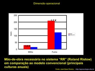 Mão-de-obra necessária no sistema “RR” (Roland Ristow)   em comparação ao modelo convencional (principais culturas anuais)  Dimensão operacional 1,8 X 1,7 X Fonte: José César Pereira.  -  http://agroecologia.ufsc.br 