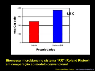 Biomassa microbiana no sistema “RR” (Roland Ristow)   em comparação ao modelo convencional 1,5 X Fonte: José César Pereira.  -  http://agroecologia.ufsc.br 