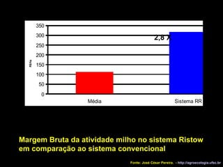 Margem Bruta da atividade milho no sistema Ristow em comparação ao sistema convencional 2,8 X Fonte: José César Pereira.  -  http://agroecologia.ufsc.br 