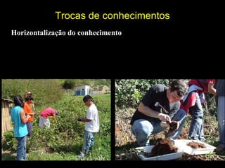 Trocas de conhecimentos Horizontalização do conhecimento 