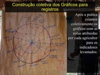 Construção coletiva dos Gráficos para registros Após a prática criamos coletivamente os gráficos com as notas atribuidas por cada agricultor para os indicadores levantados. 