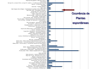 Ocorrência de Plantas espontâneas 
