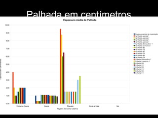 Palhada em centímetros 