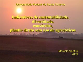 Indicadores de sustentabilidade,  diversidade, consórcios, plantio direto sem uso de agrotóxicos Universidade Federal de Santa Catarina Marcelo Venturi 2009 