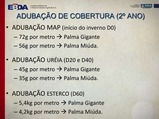 ADUBAÇÃO DE COBERTURA (2º ANO)
• ADUBAÇÃO MAP (início do inverno D0)
– 72g por metro  Palma Gigante
– 56g por metro  Palma Miúda.
• ADUBAÇÃO URÉIA (D20 e D40)
– 45g por metro  Palma Gigante
– 35g por metro  Palma Miúda.
• ADUBAÇÃO ESTERCO (D60)
– 5,4kg por metro  Palma Gigante
– 4,2kg por metro  Palma Miúda.
 