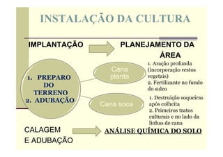 INSTALAÇÃO DA CULTURA
IMPLANTAÇÃO PLANEJAMENTO DA
ÁREA
CALAGEM
E ADUBAÇÃO
Cana
planta
Cana soca
1. PREPARO
DO
TERRENO
2. ADUBAÇÃO
1. Aração profunda
(incorporação restos
vegetais)
2. Fertilizante no fundo
do sulco
1. Destruição soqueiras
após colheita
2. Primeiros tratos
culturais e no lado da
linhas de cana
ANÁLISE QUÍMICA DO SOLO
 