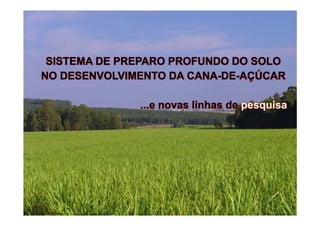 SISTEMA DE PREPARO PROFUNDO DO SOLO
NO DESENVOLVIMENTO DA CANA-DE-AÇÚCAR
...e novas linhas de pesquisa
 