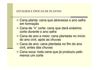 ESTÁGIOS E ÉPOCAS DE PLANTIO
 Cana planta: cana que atravessa o ano safra
em formação
 Cana de “n” corte: cana que dará enésimo
corte durante o ano safra
 Cana de ano e meio: cana plantada no início
do ano civil, após as chuvas
 Cana de ano: cana plantada no fim do ano
civil, antes das chuvas
 Cana soca: toda cana que já produziu pelo
menos um corte
 
