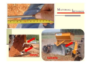 MATERIAL E
MÉTODOS
Calcário
Gesso
 
