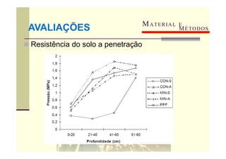  Resistência do solo a penetração
MATERIAL E
MÉTODOS
AVALIAÇÕES
Tratamentos
RSP (MPa) – Profundidades
0-20 21-40 41-60 61-80
CON-S 0,60 a 1,36 a 1,54 a 1,67 a
CON-D 0,52 a 1,12 a 1,69 a 1,52 a
MIN-S 0,69 a 1,56 a 1,85 a 1,75 a
MIN-D 0,70 a 1,06 a 1,46 a 1,50 a
PPF 0,37 a 0,29 b 0,45 b 1,40 a
 