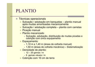 PLANTIO
 Técnicas operacionais
 Sulcação / adubação em banquetas – plantio manual
após mudas amontoadas mecanicamente
 Sulcação / adubação completa – plantio com carretas
 Picação manual
 Plantio mecanizado
 Sulcação, adubação, distribuição de mudas picadas e
cobrição com único equipamento
 Espaçamento:
 1,10 m a 1,40 m (áreas de colheita manual)
 1,50 m (áreas de colheita mecânica) – Sistematização
 Densidade de plantio:
 12 – 20 gemas / m
 6 gemas viáveis / m
 Cobrição com 10 cm de terra
 