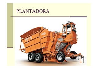 PLANTADORA
 