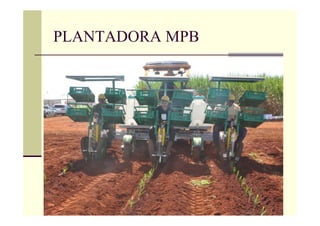 PLANTADORA MPB
 