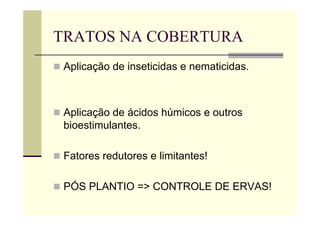 TRATOS NA COBERTURA
 Aplicação de inseticidas e nematicidas.
 Aplicação de ácidos húmicos e outros
bioestimulantes.
 Fatores redutores e limitantes!
 PÓS PLANTIO => CONTROLE DE ERVAS!
 