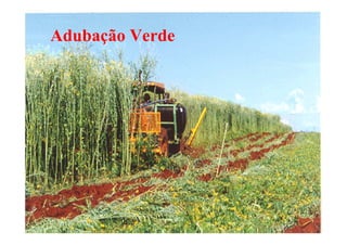 Adubação Verde
 