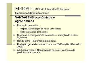 MEIOSI - MÉtodo Intercalar/Rotacional
Ocorrendo SImultaneamente
 Produção de mudas :
 Rápida. Multiplicação de novas variedades;
 Redução da área para plantio
 Dispensa o carregamento de mudas – redução de custos
logísticos
 Renda extra – incremento de receita
 Redução geral de custos: cerca de 20-25% (Us. São João,
2000)
 Adubação verde = Conservação do solo + Aumento da
produtividade da cana
VANTAGENS econômicos e
agronômicos
 